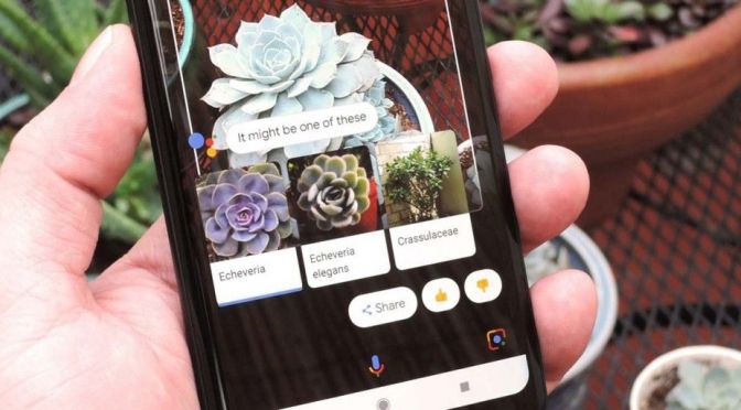 Smart Text selection & Search in Real-time Are the New Google Lens Abilities